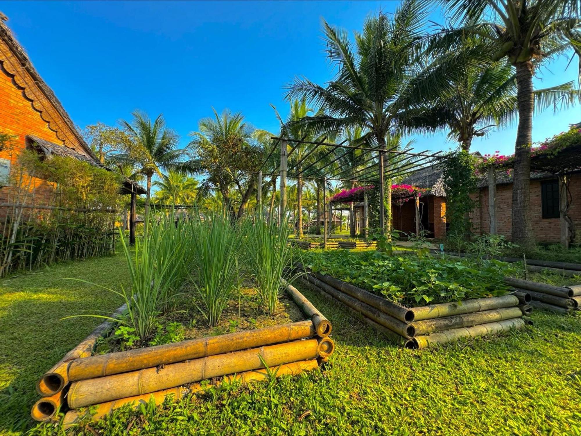 Enso Retreat Hoi An - Rediscovery & Serenity Esterno foto